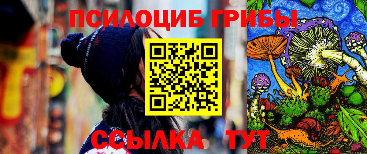 Петропавловск-Камчатский  Псилоцибиновые грибы GOLDEN TEACHER  Вход с VPN 