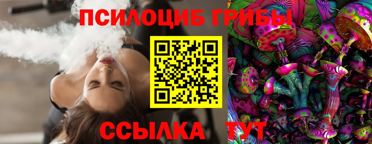 Псилоцибиновые грибы мухоморы Петропавловск-Камчатский